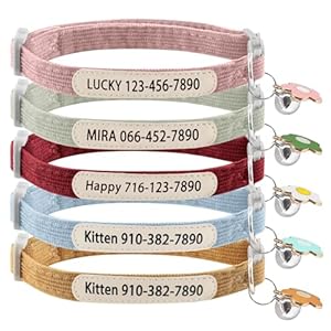 Personalized Cat Collars Breakaway with Bell, Custom Corduroy Cat Collar with Name and Phone Number, Cute Collar with Flower Accessories for Cat or Kitten