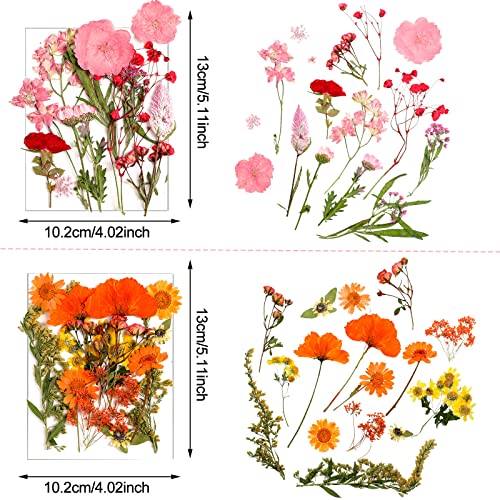 image for Nuanchu Pressed Flowers Resin Flowers for Resin Mold, Real Daisy Dried