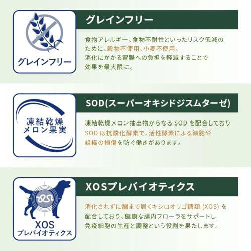 Monge Tarrina Vet Nierenlösung mit Oxalat Perro