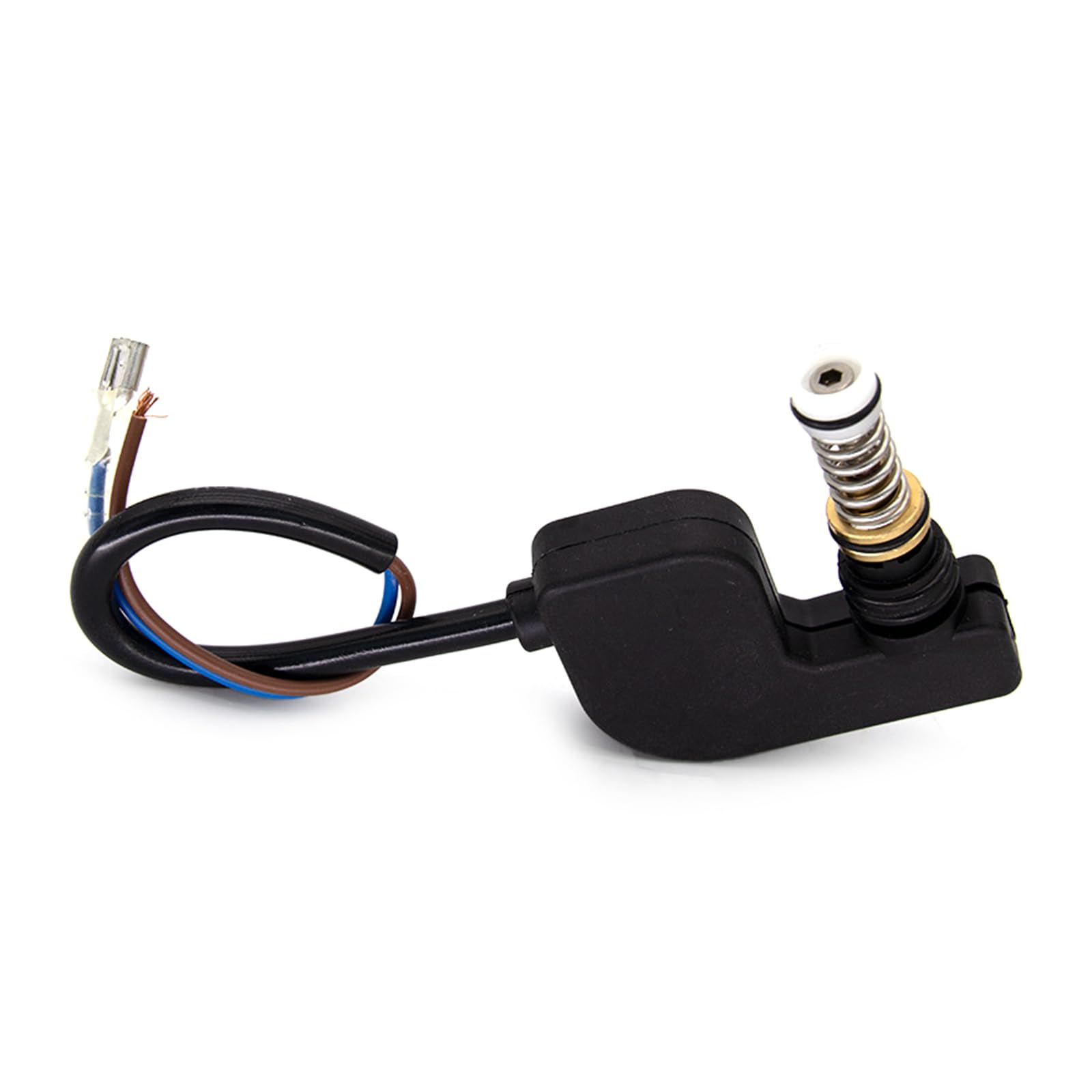 Pompa ad Pressione 220V per Lavaggio Auto e Piscina, Pompa per Idropulitrici Pneumatiche, Nero
