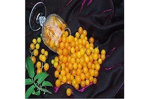 Yellow Currant Petite Tomato Seeds (40 Seed Pack)