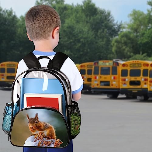 Sac à dos enfants écureuil mignon pour l'école et la randonnée