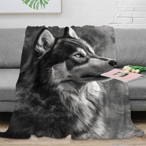 Couverture husky sibérien pour des soirées cocooning sur le canapé - 3