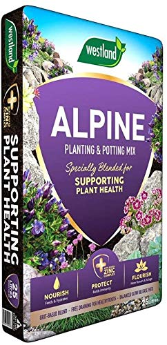 Westland 2 x Alpine Planting & Potting Mix Bag 25L