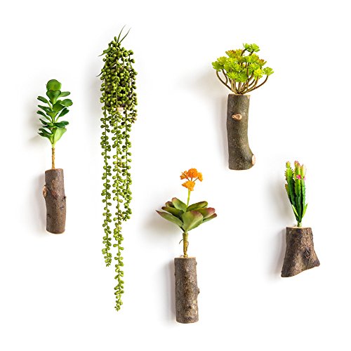 WOOD MEETS COLOR Handmade Hanging Vases, Wall Vases Arrangement, Vertical Planters, With Artificial Plants, 5 PCs (Succulent plants)