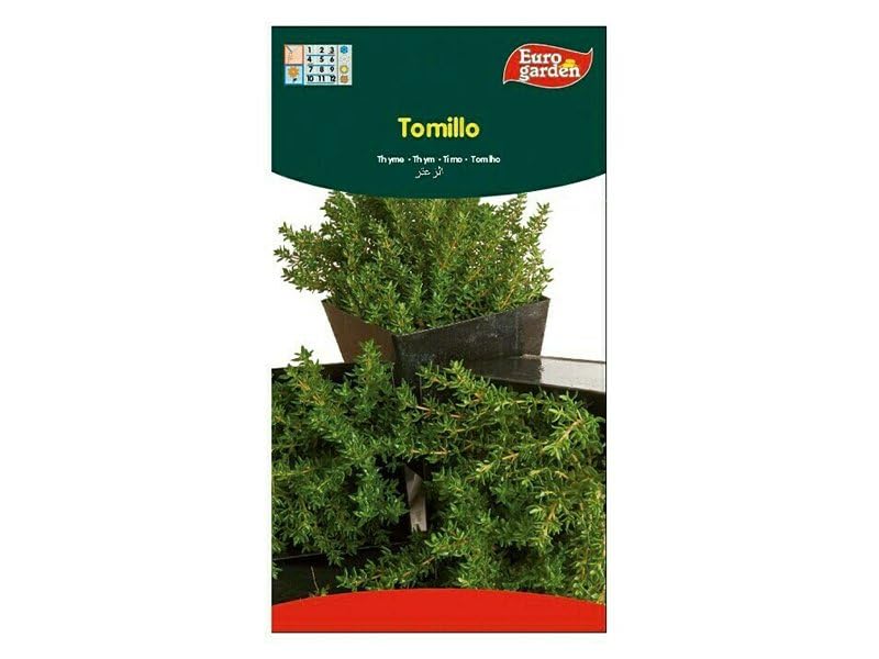 Eg Thyme Seeds