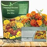 Outsidepride French Marigold Seeds Mix - 1000 Pcs Annual, Compact, Heat & Drought Tolerant Flower Seeds for Planting w/Orange & Yellow Prolific Blooms, Ideal for Vibrant Pollinator Gardens
