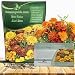 Outsidepride Marigold Flower Seed Mix - 1000 Seeds