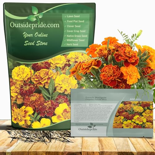 Outsidepride French Marigold Seeds Mix - 1000 Pcs Annual, Compact, Heat & Drought Tolerant Flower...