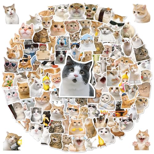 Anwyll 100Pcs Cat Stickers - Cat Meme Stickers Bulk Waterproof Vinyl Water Bottle Sticker Self Adhesive Cute Cats Sticker Bulk for Scrapbooking Skateboard Laptop Guitar Adult Cats Party Favor Decor