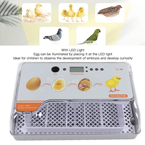 BAOFUYA Vollautomatische Ei-Inkubation 20 Ei-Inkubator-Tablett Digitale Ei-Brutmaschine zum Ausbrüten von Hühnern, Eiern… – Bild 7