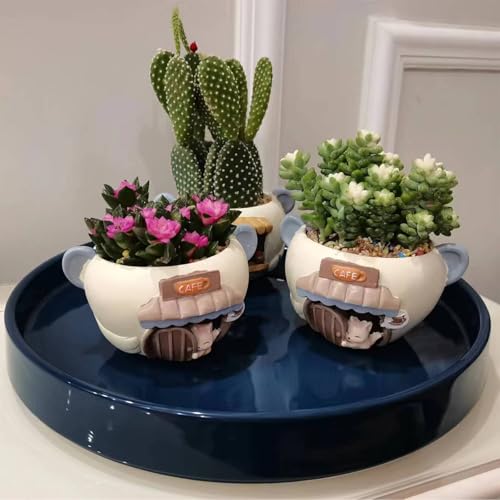 Soucoupe en céramique bleu 30,5 cm pour éviter les fuites d'eau de vos pots - 7