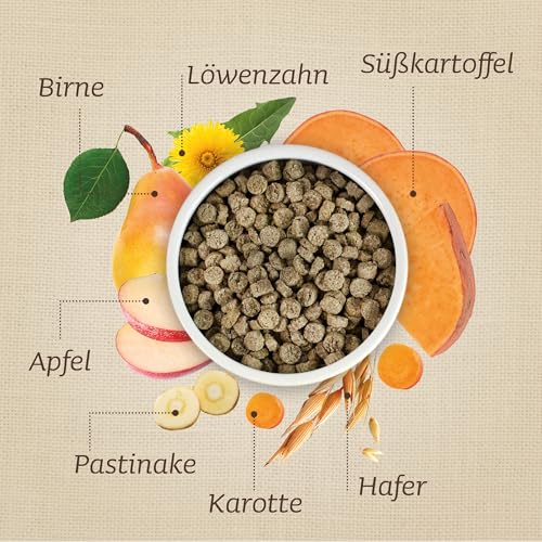 Leiky Braverl vegetarische Hundesnacks 400 g – glutenfreie Belohnung ohne Zusatzstoffe