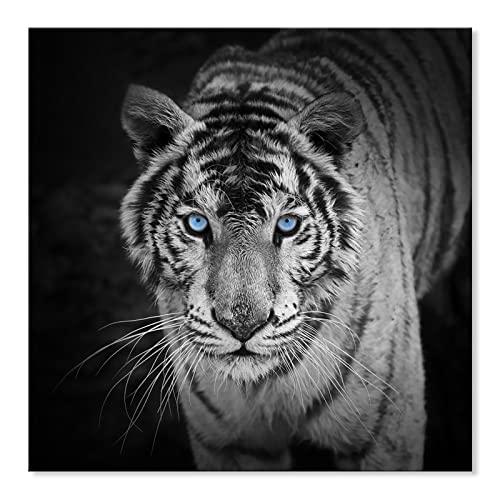Seven Wall Arts Black And White Tiger Canvas Wall Art Modern Wildlife Pictures Wall Decor Tiger With Blue Eyes Animal Poster Print For Bedroom Office Bathroom Living Room Decorations 24 X 24 Inch #TOP18
