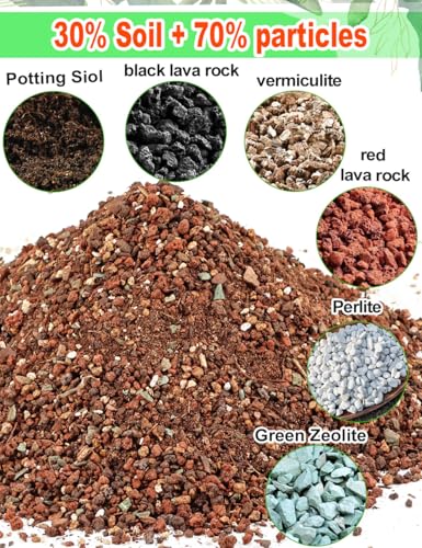 image for TOYPOPOR Succulent Soil, Cactus Potting Mix 2 Pounds/1 Quart, High Dra
