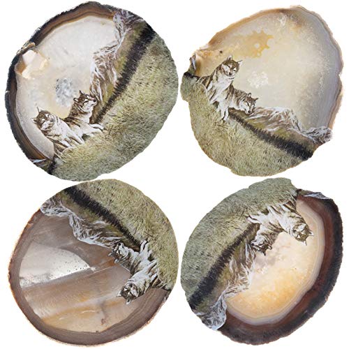 Tranche d'agate loups symbole de force pour le foyer