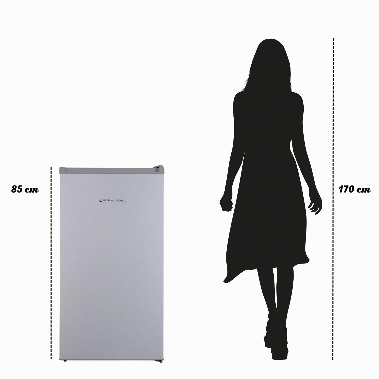 PYRAMIDEA Réfrigérateur Capacité Totale 100 Litres bruts, Porte réversible, pieds réglables Classe E Couleur Silver FRG104S