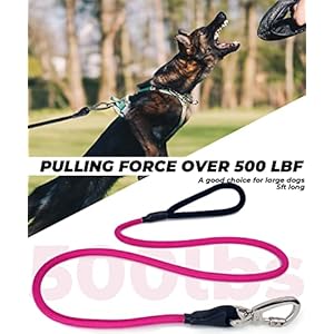   Dog-Leash-Large-Dogs-5FT-Heavy-Duty-12-inch-Thick-Nylon-Rope-Training-Leashes-Durable-Carabiner-Sturdy-Clip-Good-Choice-for-Strong-Breed-Dogs-Pink
