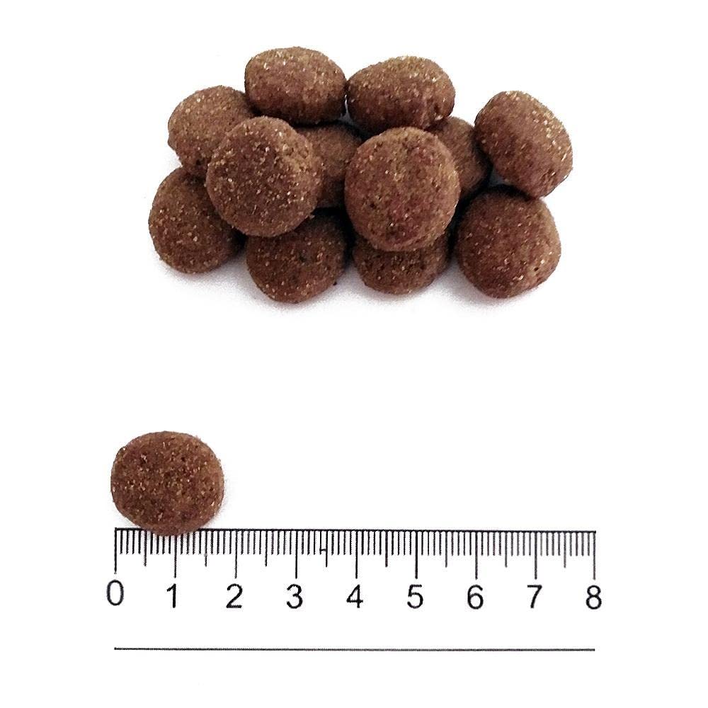 PROLIFE Sensitive Adult Medium/Large al Maiale e Riso da 10 kg