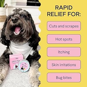 Finn Skin Hero | Revitalizing Natural Dog Skin Balm | Soothes, Strengthens & Protects from Hot Spots, Itching and Irritation - 1.75 oz Finn Skin Hero | Revitalizing Natural Dog Skin Balm | Soothes, Strengthens & Protects from Hot Spots, Itching and Irritation – 1.75 oz