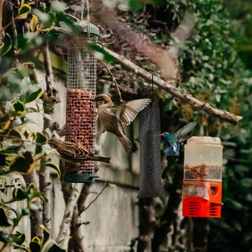 6 Pcs Wild Bird Food Sock Feeder Kits，Mesh Socks Bird Sack Feeders with1 Pcs Folding Food Funnel Thistle Seed Feeder for Garden Yard Outdoor (Black) - Thumbnail 4