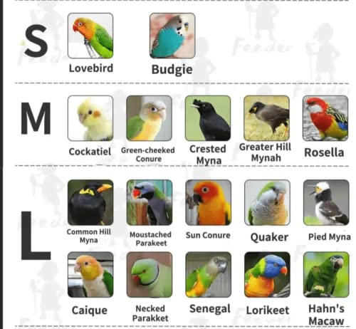 Bird Flight Suits Diapers, Parrot Flight Suits Diapers For Monk Parakeets, Cockatiels Flight Suits, Parrot Clothes, Bird Training Nappy Suit Liners Clothes (Medium,Navy) #TOP1