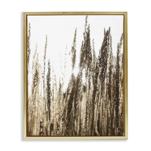 'Light Ray though Wheat Field'| Floating Frame Canvas Art