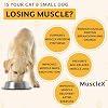 MuscleXTM Canine Muscle Formula Cats & Small Dogs with 300 mg CaHMB & Vitamin D3 - Natural Muscl Building Formula-Helps Reduce Muscle Loss Due to Normal Aging & Improves Recovery from Injury(180 Caps)