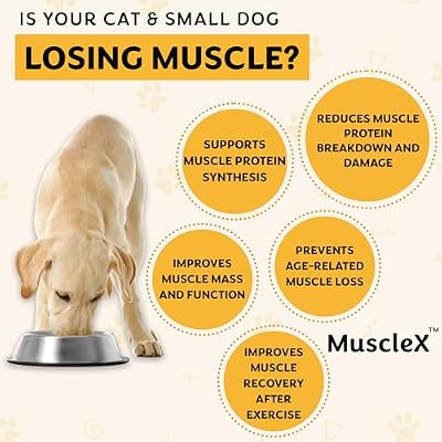 MuscleXTM Canine Muscle Formula Cats & Small Dogs with 300 mg CaHMB & Vitamin D3 - Natural Muscl Building Formula-Helps Reduce Muscle Loss Due to Normal Aging & Improves Recovery from Injury(180 Caps)
