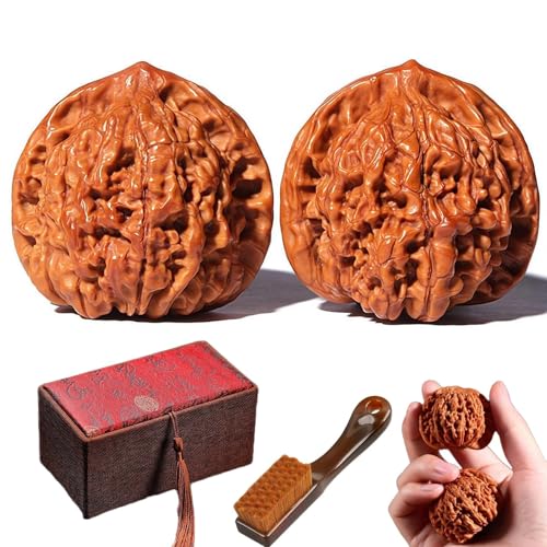 Wenwan Walnut Hand Balls 2 Natural Chinese Walnuts for Stress Relief Anxiety & Hand Exercise Includes Box & Brush (40-42 mm/1.65 in 1 Pair)