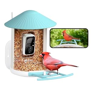 NETVUE by Birdfy Smart Bird Feeder with Camera, Bird Watching Camera, Auto Capture Bird Videos & Motion Detection, Wireless Bird Feeders for Outdoors, Ideal Present for Bird Lover, Blue