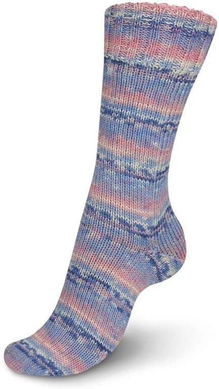 Regia Design Line by Arne & Carlos 4 Ply Color 100g 03888 Langfjordbotn