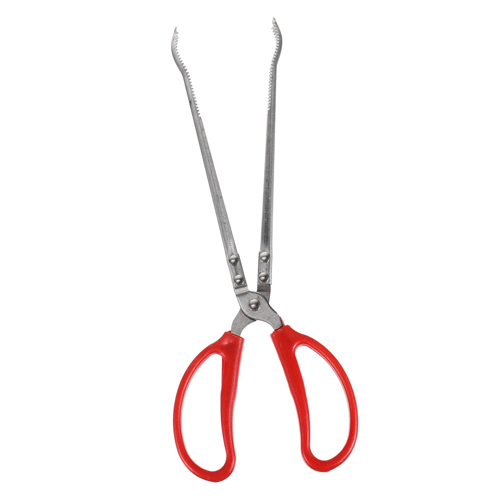 Pince à Crabes Portable en Acier Inoxydable Clip Antidérapant, Résistante à L'usure, Accessoire Pratique Pêche en Mer L'aquarium