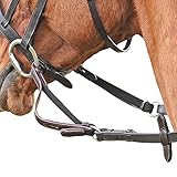 Shires