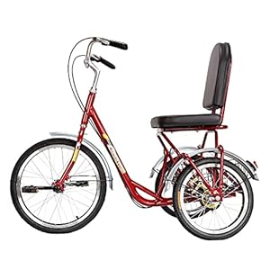 ZJZ Volwassen driewielers rode driewieler fiets anti-rollover ontwerp 3-wiel fiets voor winkelen picknick buitensporten…
