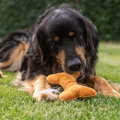 Minifeet Knister-Knochen - Das knochenstarke Hundespielzeug für jeden Anlass. Für Welpen und ausgewachsene Hunde