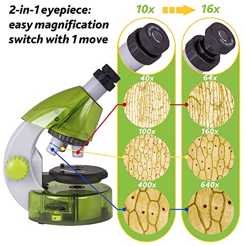 image for Levenhuk LabZZ M101 Lime Microscope, Lime, 69059, Purple