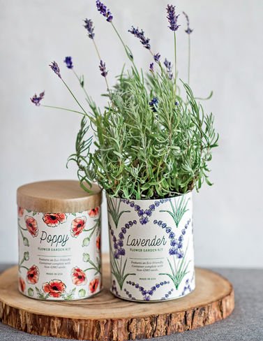 Amazon.co.jp: 【Modern Sprout（モダンスプラウト）】Waxed Planter