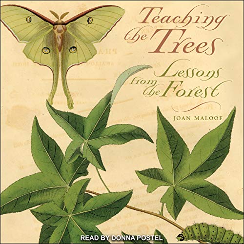 Teaching the Trees by Joan Maloof episode artwork