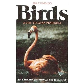 Paperback 100 Common Birds of the Yucatan Peninsula Book