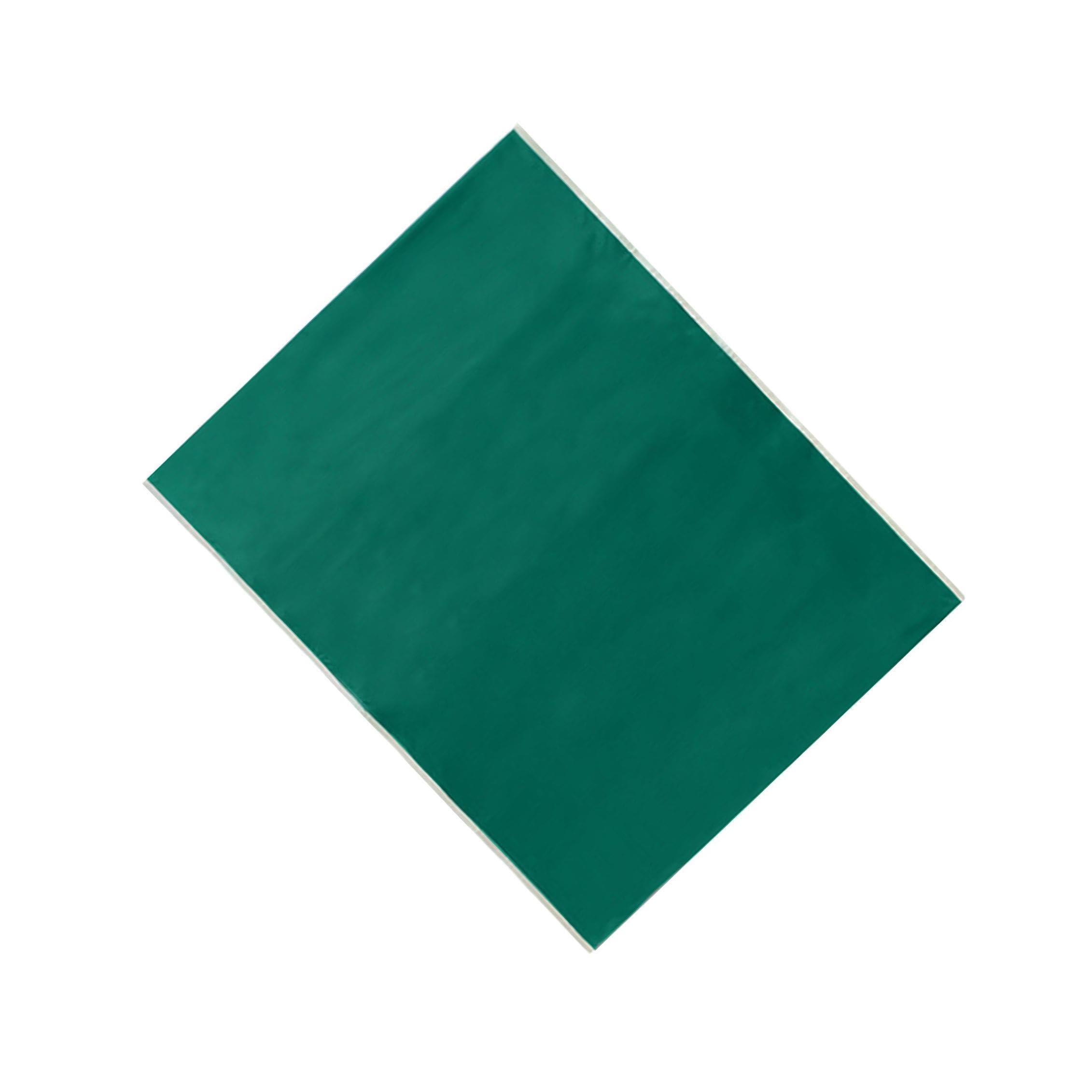YIXANNX Soft Nylon Slide Sheet Aid | Durable Transfer Pad | Lightweight Mobility Assistance Transfer Bed Cloth Sliding Sheet Is Lightweight And Foldable , Green , 75x95cm