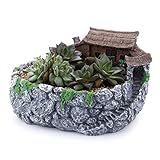 bonsai grande interior Ligero - Ideal para usar como plantadores colgantes