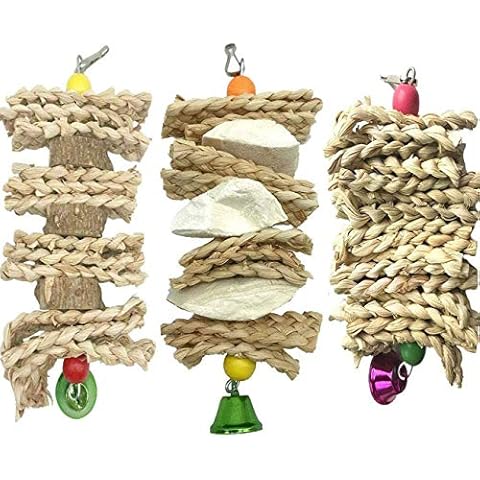 Wonninek 3 Pack Parrot Toys Chewing Bird Toy Cuttle Bone Beak Grinding Cage Hanging Bell Toys for African Greys Amazon Conure Eclectus Budgies Parakeet Cockatiel Cover