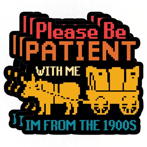 3Pcs Please Be Patient with Me Im from The 1900s Sticker Vintage Retro Millennial Gen X...