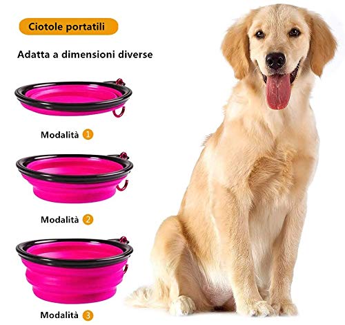 Voarge Borraccia per Cani e Cibo, con 2 Pieghevole...