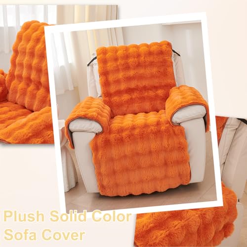 Protector para mascotas en sala de estar y silla reclinable 3