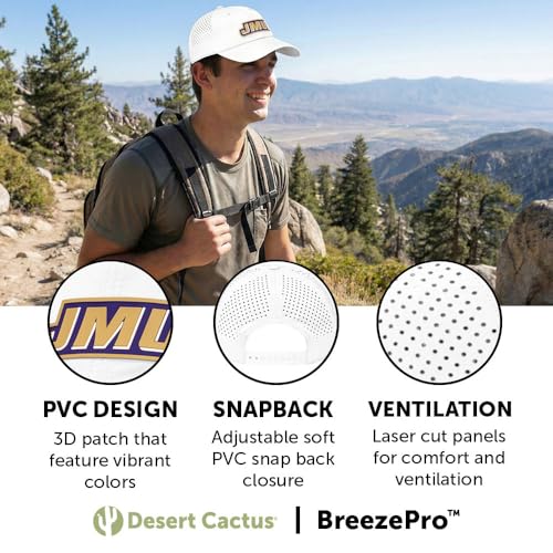 Desert Cactus James Madison Gorra Snapback con Cierre Ajustable miniatura 3