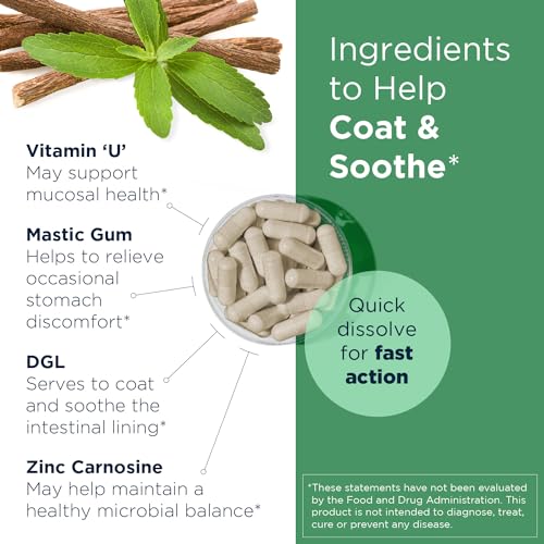 Designs for Health GastroMend HP - Mastic Gum, Zinc, L-Carnosine, Deglycyrrhizinated Licorice Gut Health Supplements - May Support Gastric Health, Occasional Bloating or Upset Stomach (60 Capsules) - Image 4