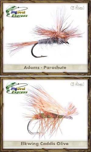 Fly Fishing Flies - Guide's TOP Assortment - NORTHWEST (31