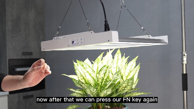 Amazon.com : Sonlipo 2024 New SPF2000 PRO 200W LED Grow Light